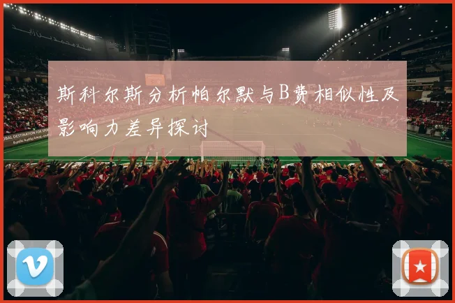 斯科尔斯分析帕尔默与B费相似性及影响力差异探讨